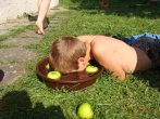 DSC00204.JPG